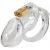 Transparent Chastity Cage