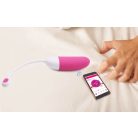 Vini Vibrating Egg Remote Control