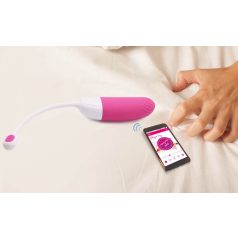 Vini Vibrating Egg Remote Control