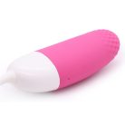 Vini Vibrating Egg Remote Control