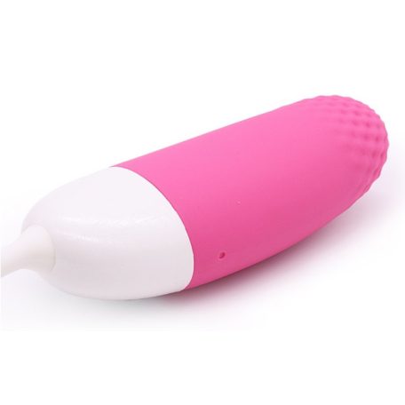 Vini Vibrating Egg Remote Control