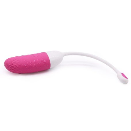 Vini Vibrating Egg Remote Control