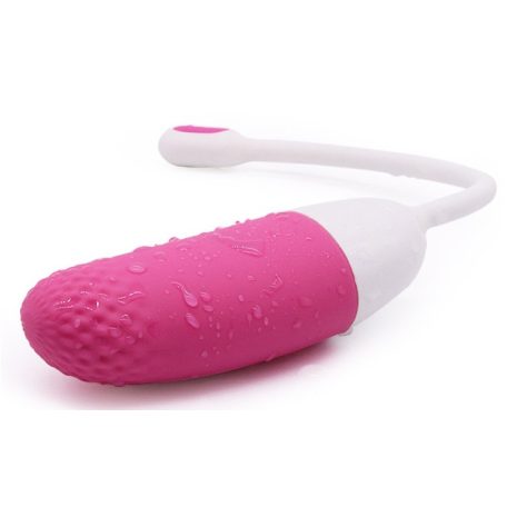 Vini Vibrating Egg Remote Control